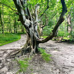 24-07-01 11-40-32 0060